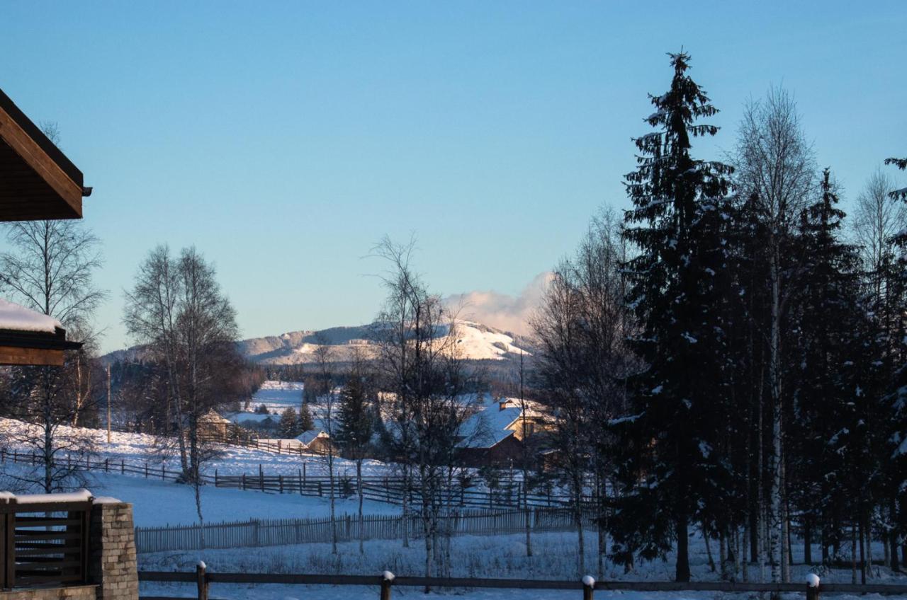 Chalet Delut Botus Kültér fotó