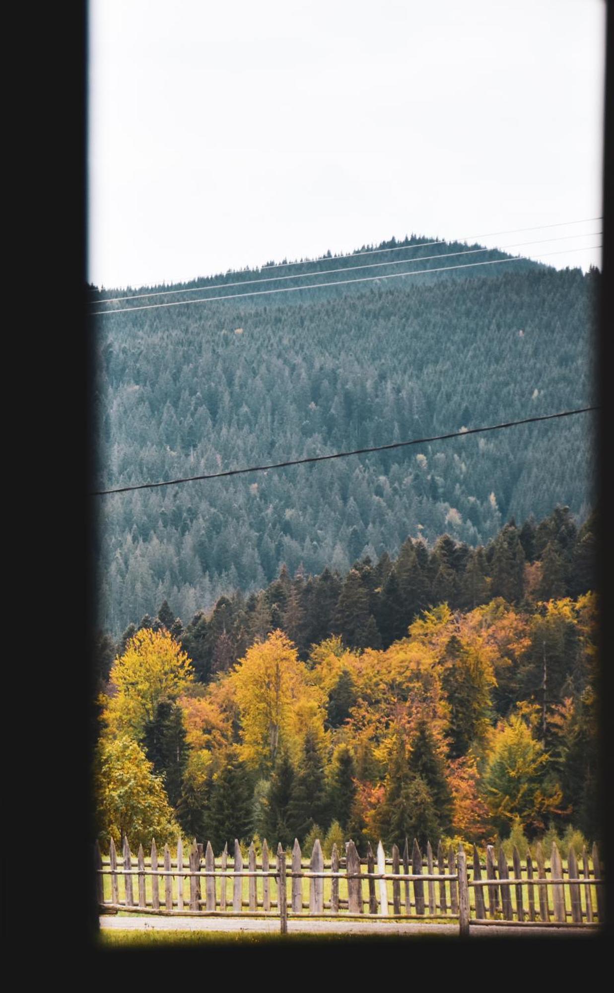 Chalet Delut Botus Kültér fotó