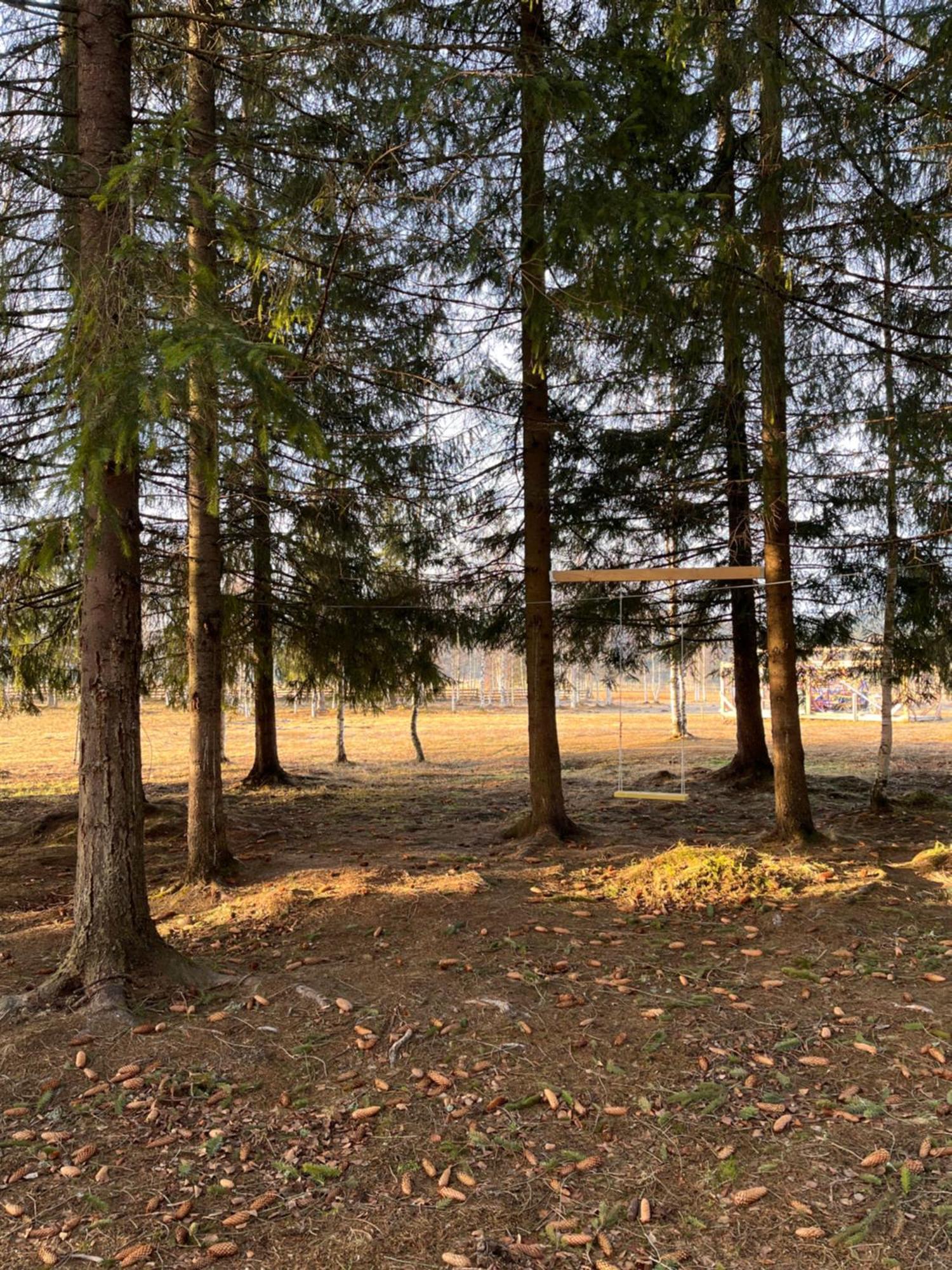 Chalet Delut Botus Kültér fotó